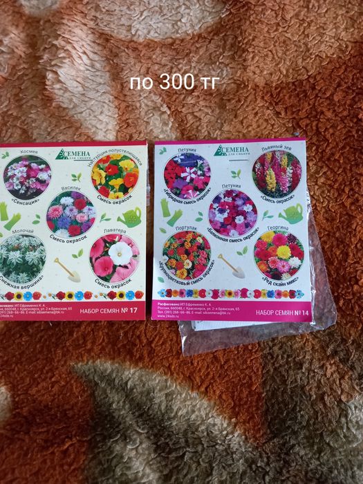 Продам семена и луковицы цветов