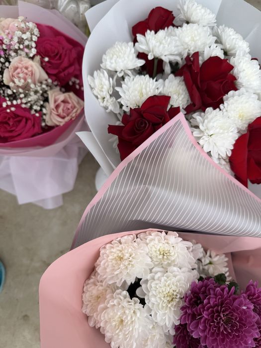 Харизентема розы все свежие