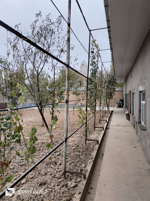 5 sotix uchaska sotiladi 3 ta xonasi narxi 55000$ kelishamz