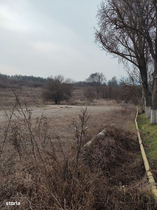 Teren intravilan in Santuhalm cu o suprafata de 5500mp,