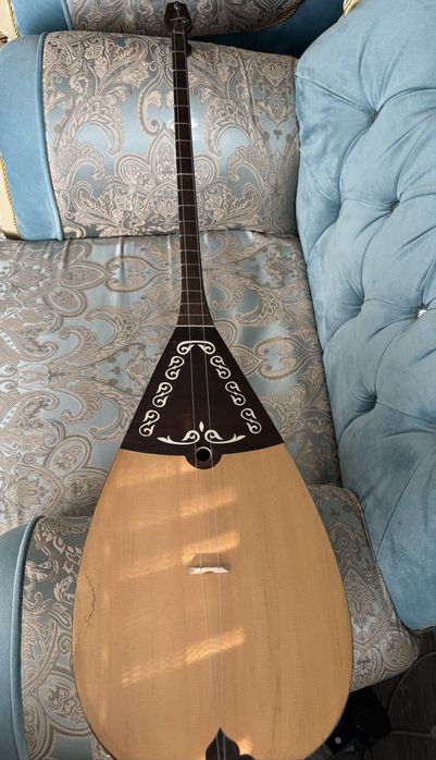 Продам домбыру профессиональный.