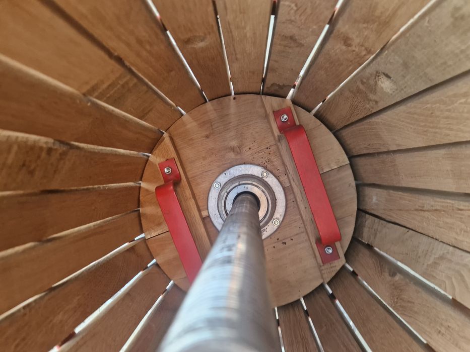 Teasc struguri presa struguri