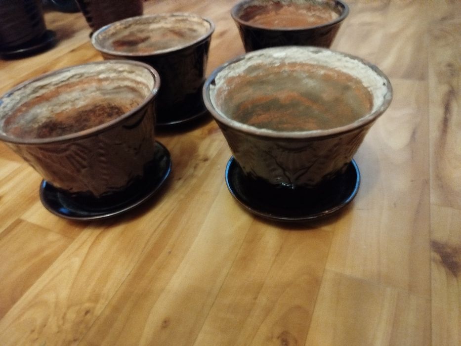 Горшки для посадки растений