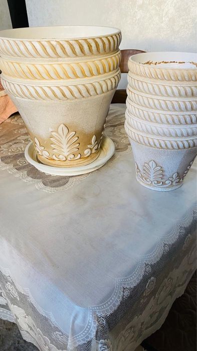 Цветы в ассортименте , есть еще горшки