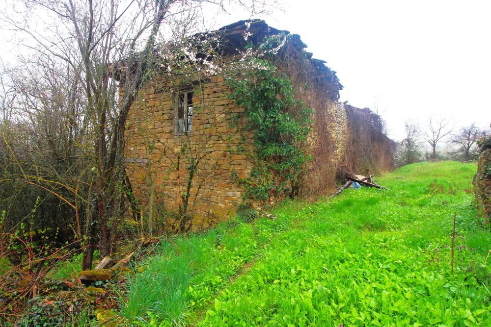 Продава се Парцел в с. Славейково, Област Габрово - 1986 кв.м за 6 €/кв.м - Снимка #1