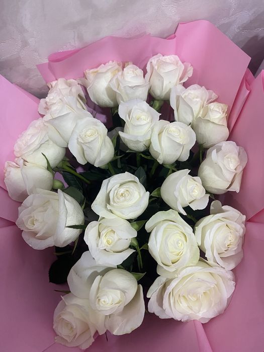 Бугін ғана алынған гүл