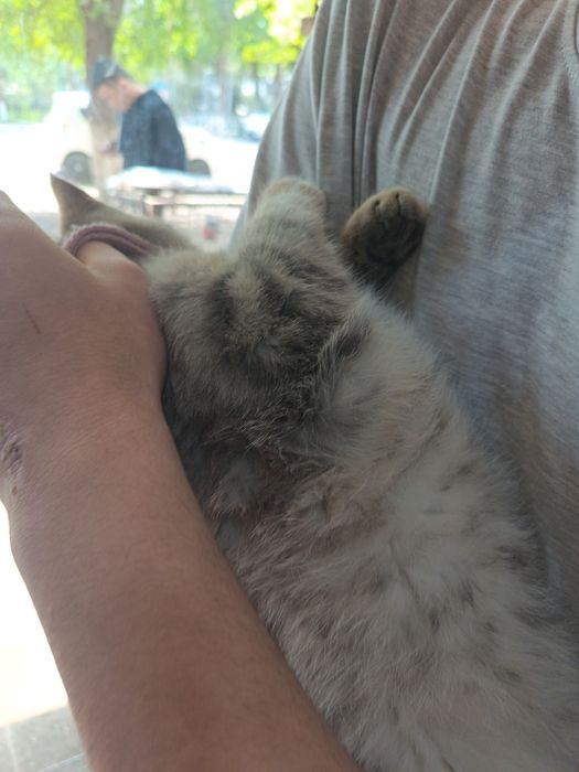 Mushuk garantya si bilan