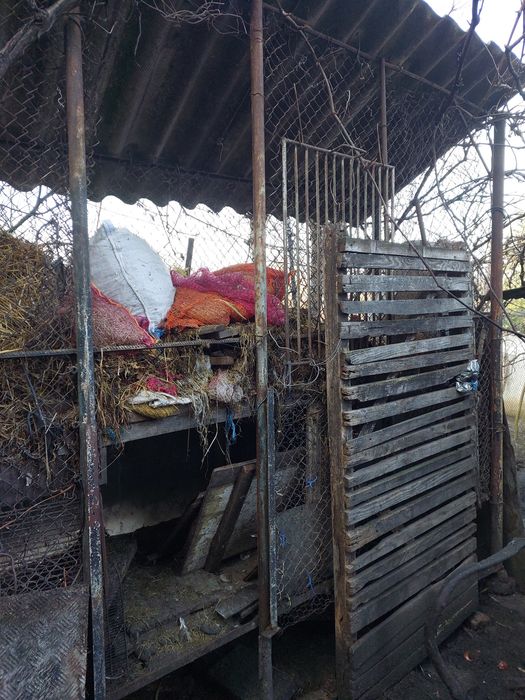 Coser pentru  depozitarea  porumbului