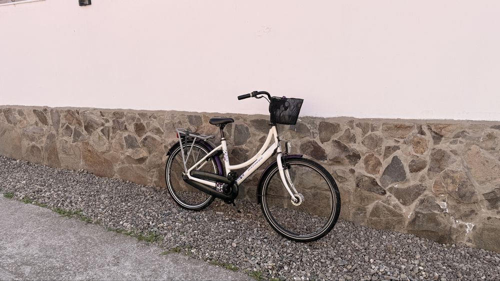 Bicicleta Dama Batavus