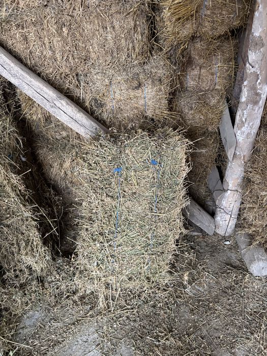 Vand baloti de lucerna