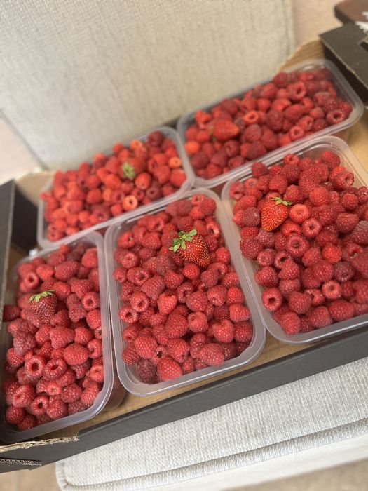 Zmeură de vânzare