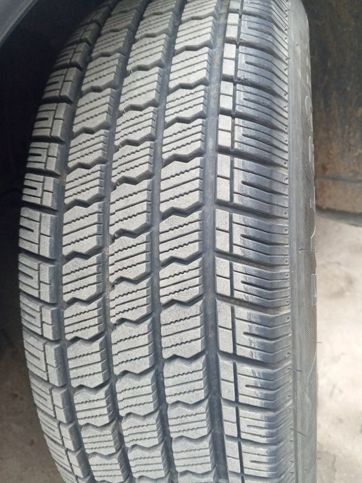 Jentra tozza qora mativiy zavod