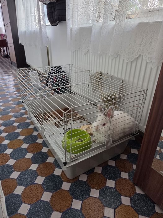 Cușcă iepure/răzătoare 80x50 cm