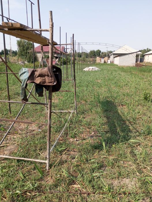 Теплица сельское хозяйство