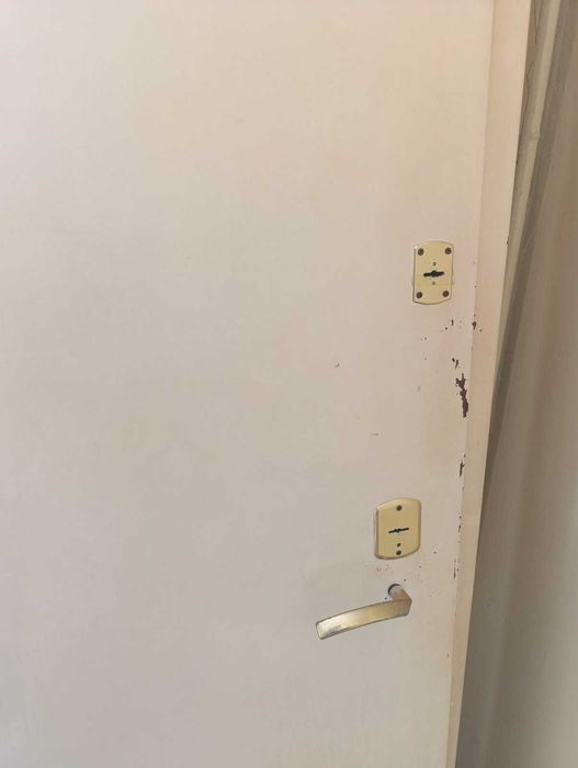 Два броя метални апартаментни врати.