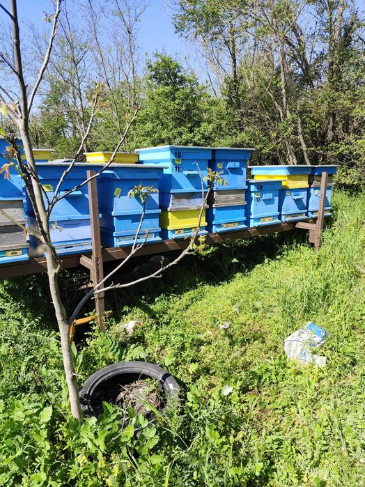 Пчеларска платформа