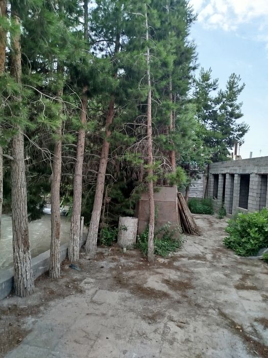 Чойхона Сотилади..Нотурар 3,5 сотых.. ремонт талаб.