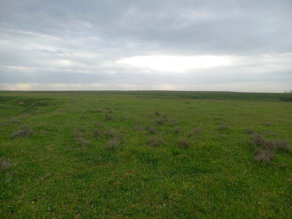 Земельный участок