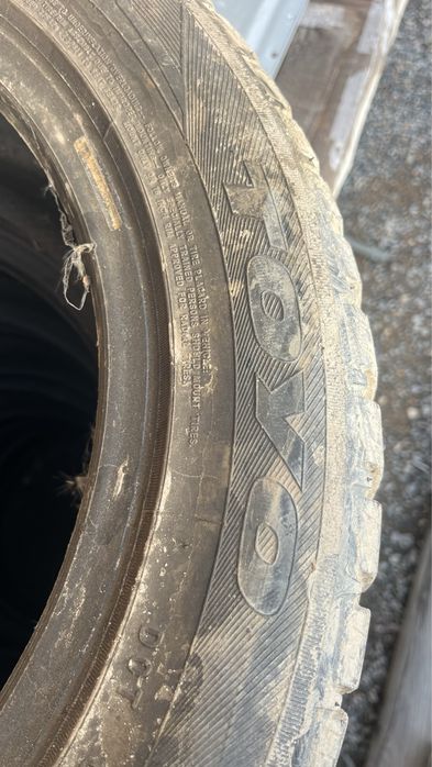 Шины зимние toyo