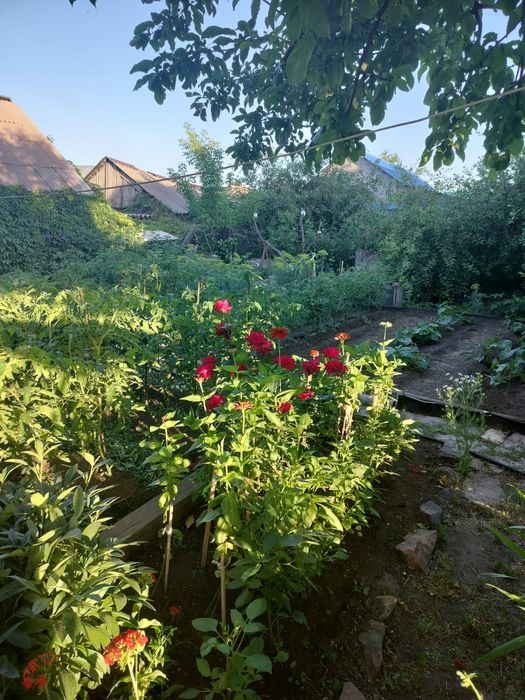 Продается частный дом