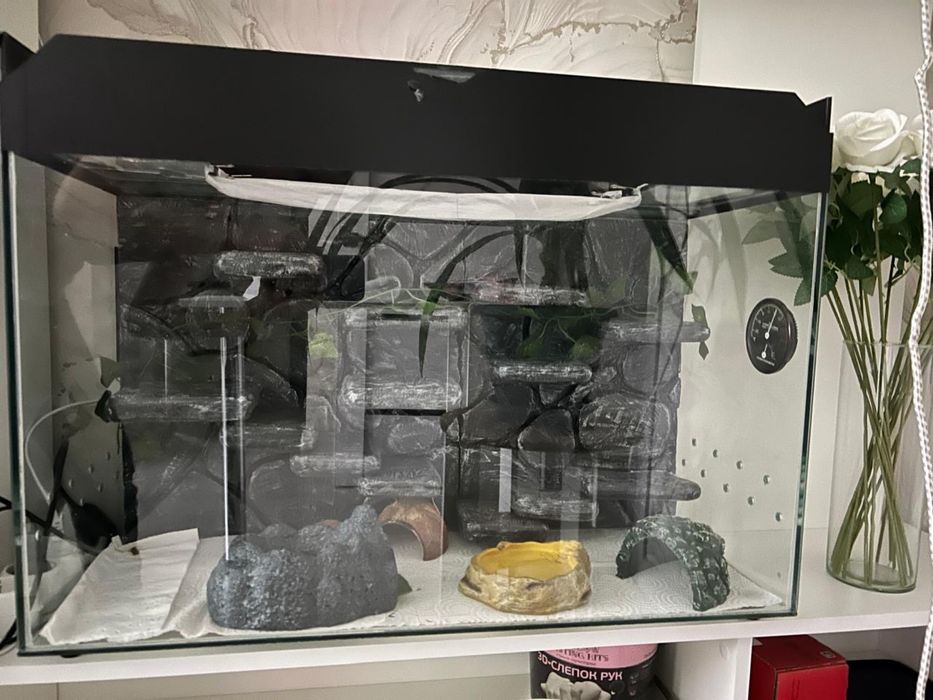 Продаю террариум