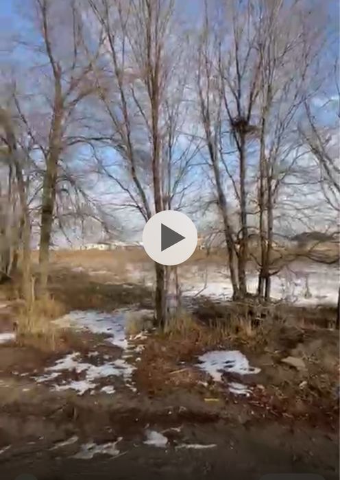 Участок шесть суток земли