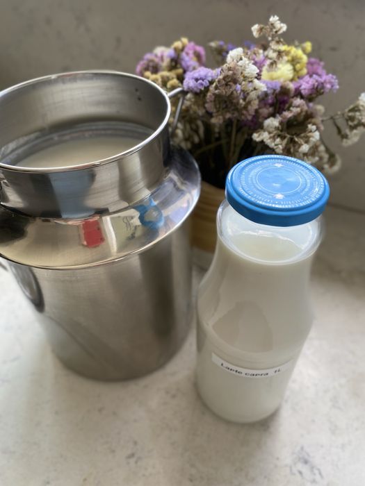 Lapte capră proaspăt