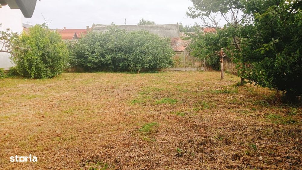 Casa tip conac de vanzare in Nadlac