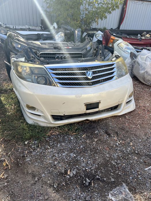 Ноускат альфард Toyota Alphard