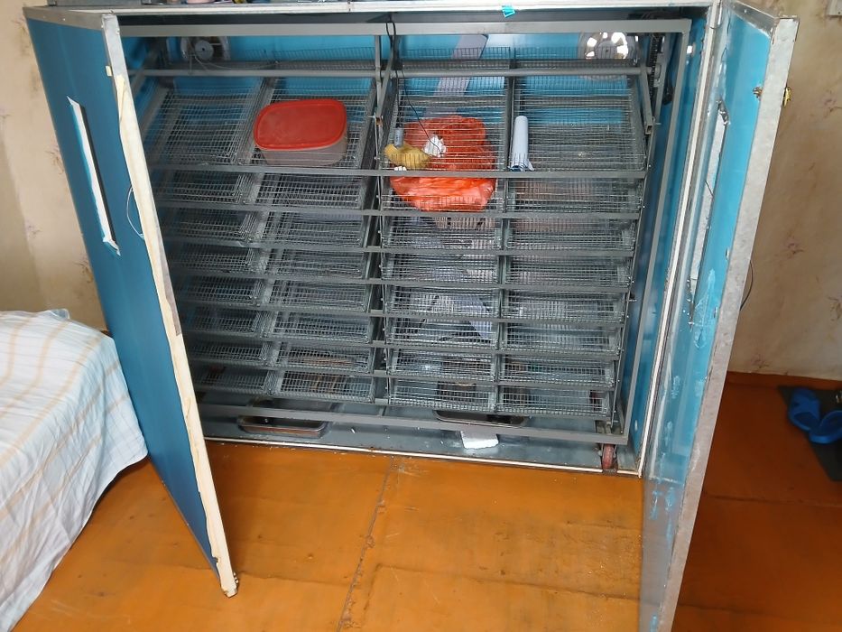 Большой инкубатор