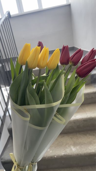 Тюльпаны крупные