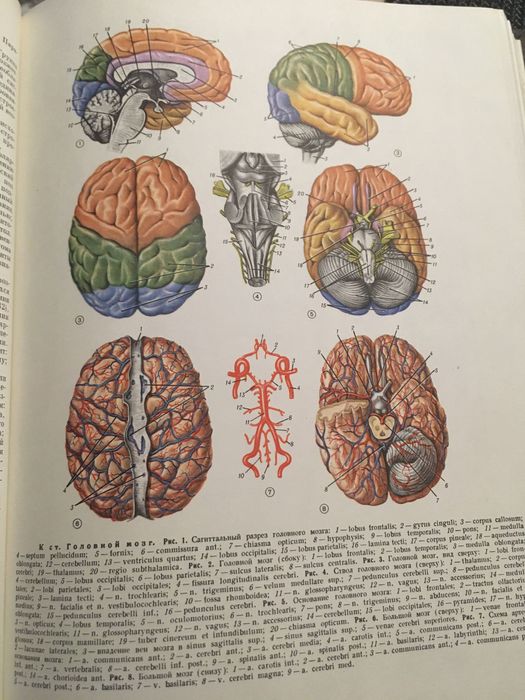 Медицинска енциклопедия