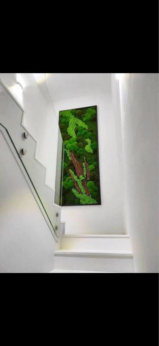 Эко-арт для вашего интерьера мох, картины из мха побработка фито стен