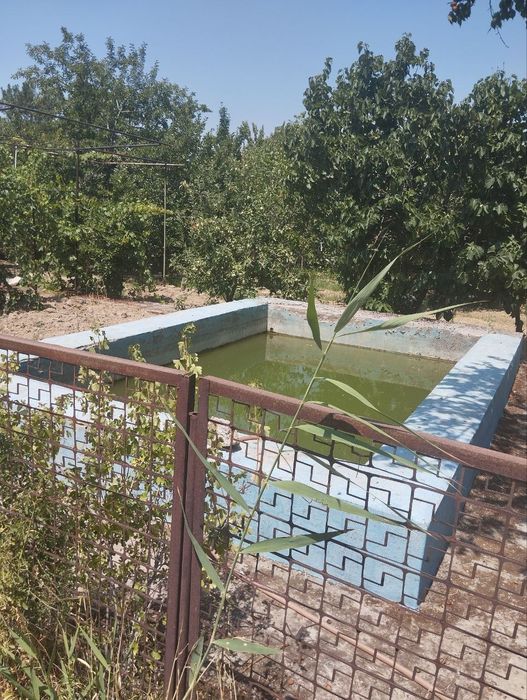 Отличная дача по супер цене огород басейн