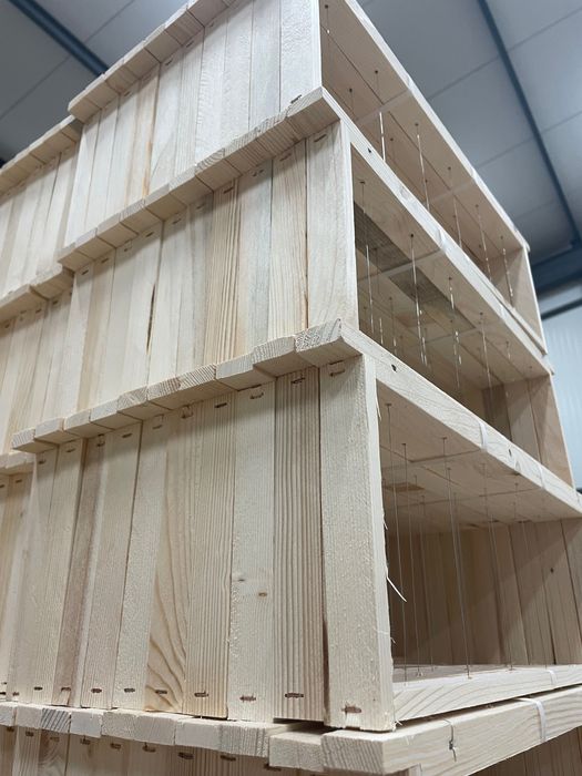 Пчелна плодникова и магазинна рамка