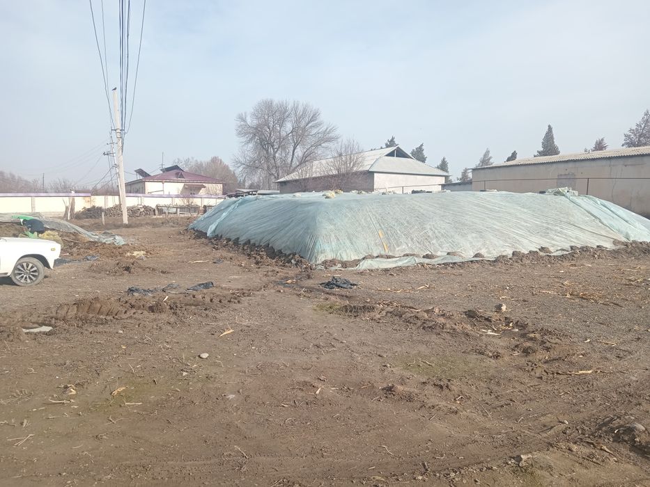 Silos donlik kafolati bn