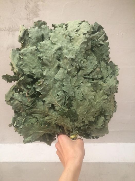 Дрова уголь веник