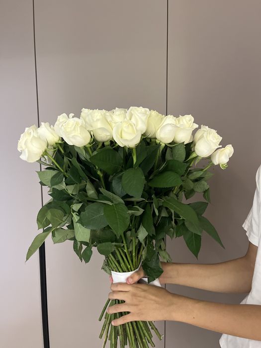 Белые розы 51шт., новые