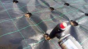 AntiBuruieni/Agrotextil/Mulcire DENSITATE 100g/m²