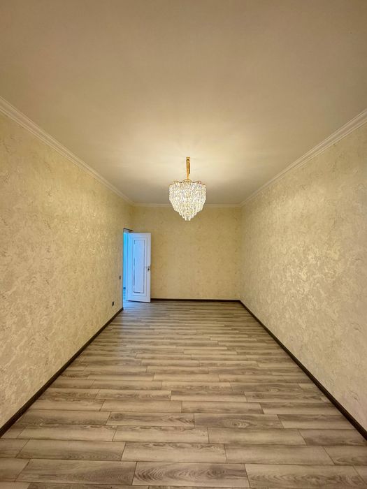 Qora qamish 2/5      4/3/4