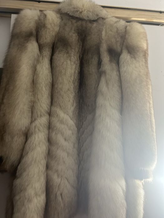 Blana vulpe argintie