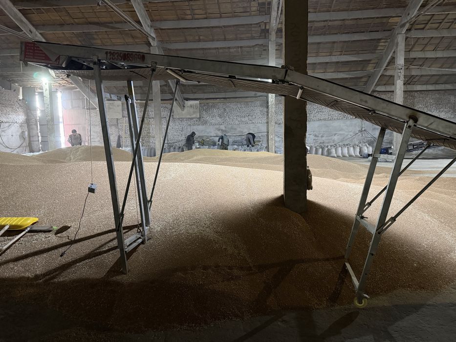 Ленточный транспортер