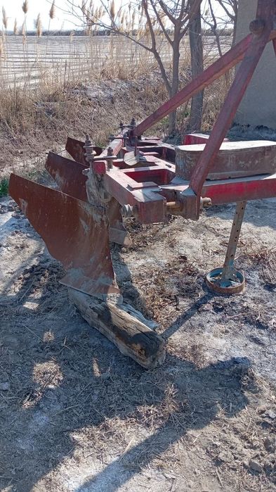 Taktoga pulg Chizil selkasi ham bor