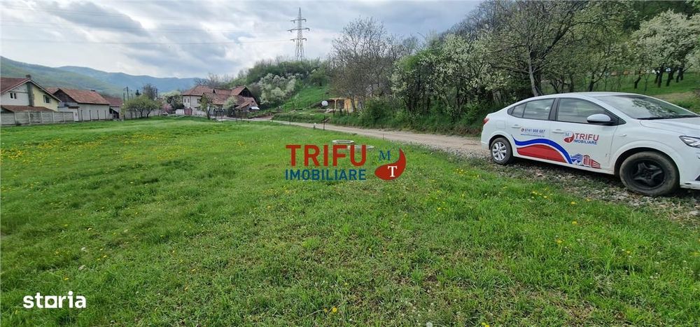 Teren de vis la liziera pădurii – liniște, natură și aer curat!