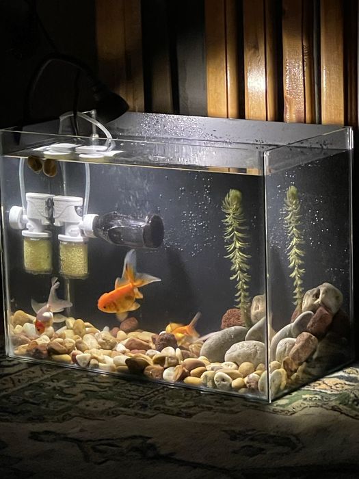 Сборка аквариума на 25 литров