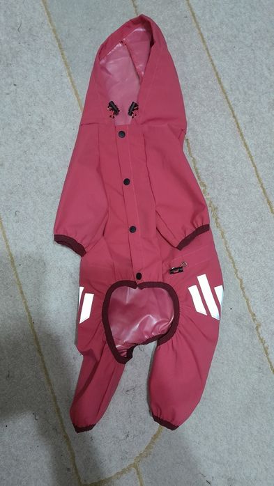 Одежда для собак