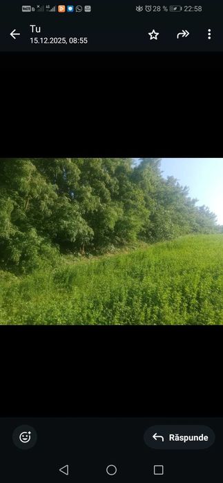 Vand teren intravilan Braesti