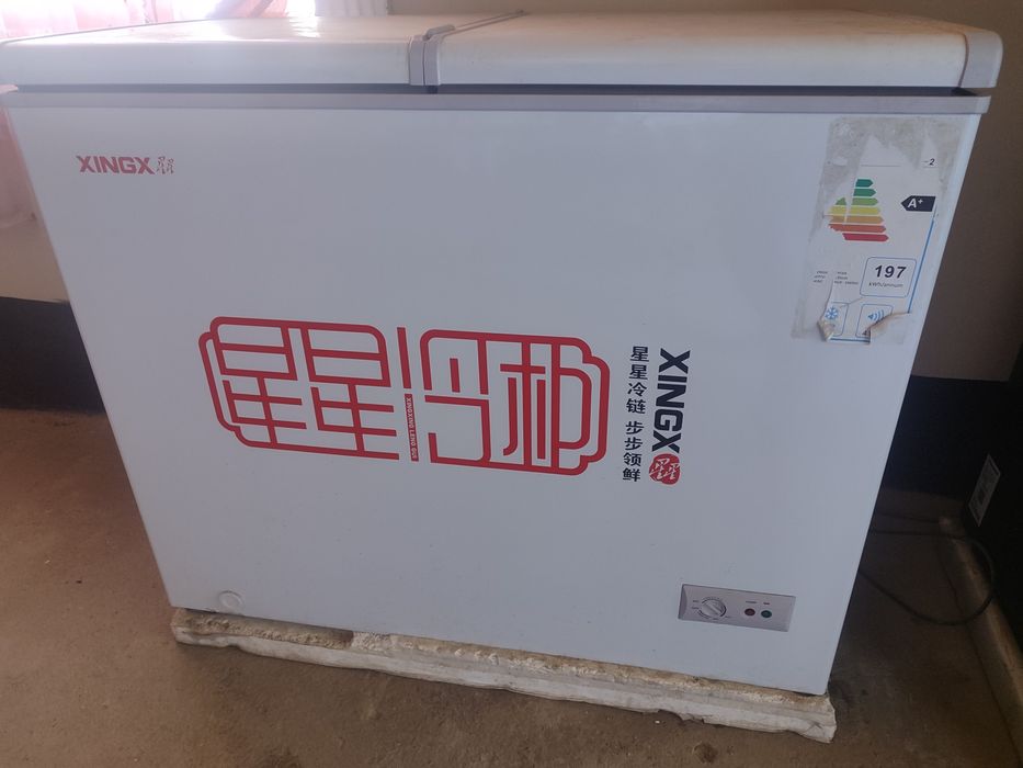 Морозильник янги