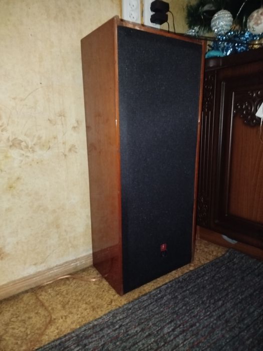 Колонки " Ригонда" от радиотехника .