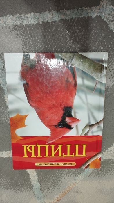 Книга для детей 5 штук